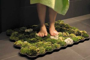 Moss carpet