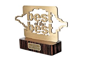 Премия Best of the Best