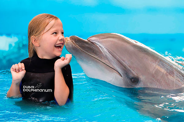 Дубайский дельфинарий